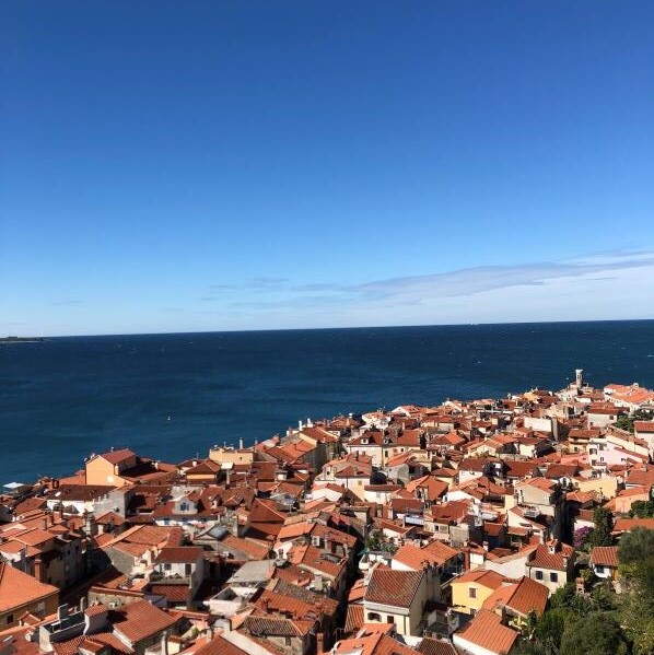 Izdelava-fotografij-foto-Matkovic1